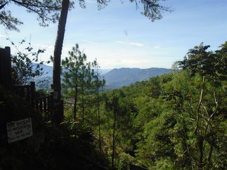 Baguio highlands. Plenty of pines.