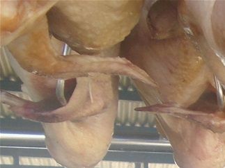 My rotisserie chicken guy.