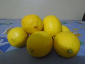 Me lemons.