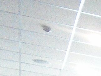 Social-distancing squares at Jollibee's