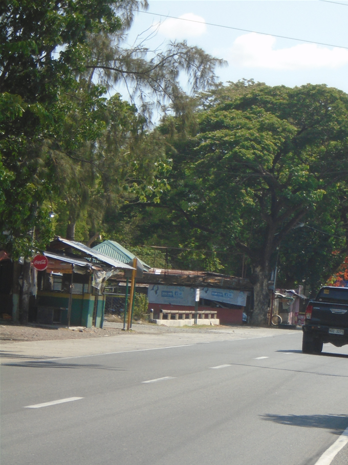 There's a flame tree just beyond the checkpoint into town. Hard to miss when in bloom!