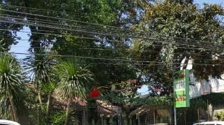 (TripAdvisor)