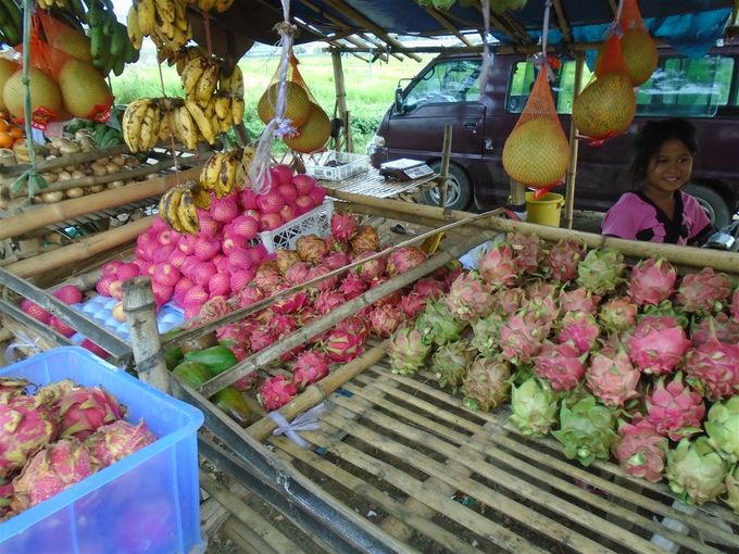 What's in the bucket and on display beside it is dragon fruit (the fruit hanging in net bags are pomelos). The girl is the stand owner's daughter.