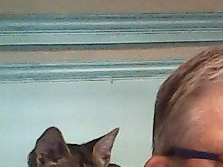 Cy's taken a liking to my shoulder.