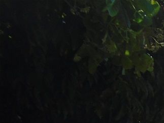 On a narrow street close to the highway . . .